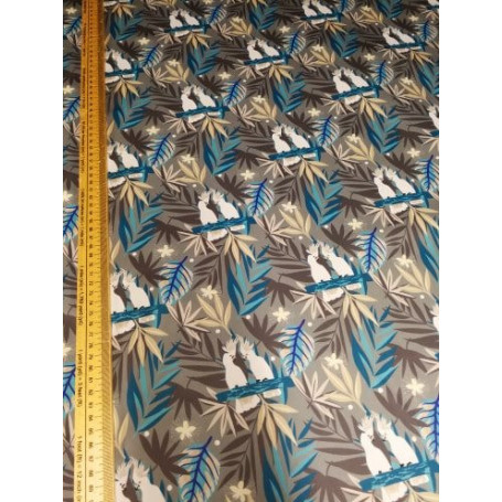 Softshell Fin non doublé Tropic Perruches