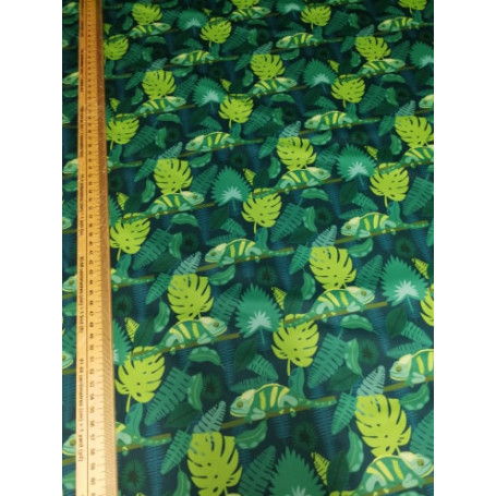 Softshell Arc en ciel requins