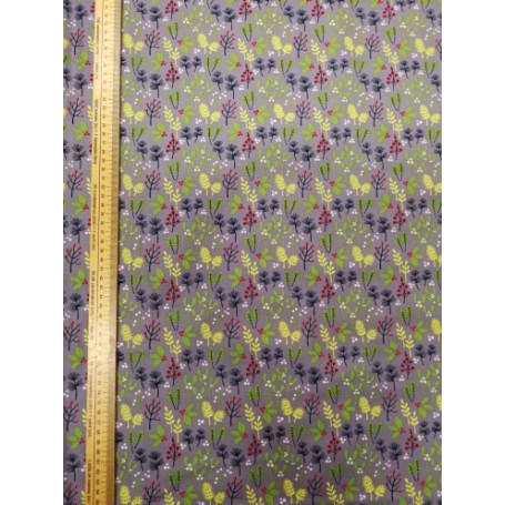 Coton Où est Guy ? fond gris