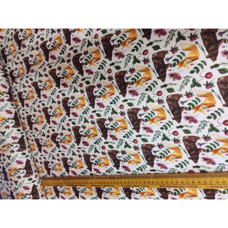 Jersey Ours et renards